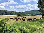IMG_20260615_140052