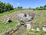IMG_20260615_125914