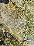 IMG_20260615_125955