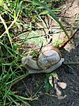IMG_20260615_124810