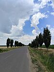 IMG_20260621_140622