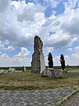IMG_20260621_135911