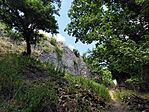 IMG_20260624_131521