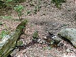 IMG_20260624_103830