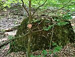 IMG_20260624_103905
