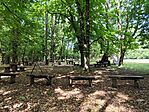 IMG_20260624_102827