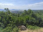 IMG_20260624_092918