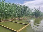 IMG_20260530_141921