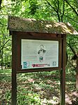 IMG_20260606_125352