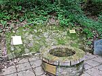 IMG_20260606_125856