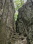 IMG_20260613_121715