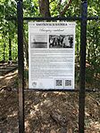 IMG_20260620_142438