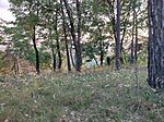 IMG_20260620_202318