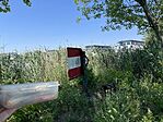 IMG_2187