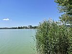 IMG_2191