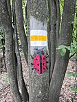 IMG_20260530_110015