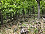 IMG_20260530_121526