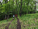 IMG_20260530_125200