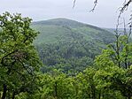IMG_20260530_130355
