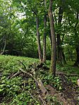 IMG_20260530_154042