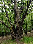 IMG_20260530_144429