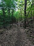 IMG_20260530_175009