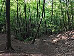 IMG_20260530_172643