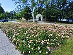 IMG_20260607_105314