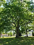IMG_20260607_110127