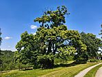 IMG_20260608_145138