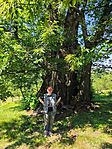 IMG_20260608_145230