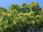 IMG_20260608_145346