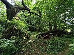 IMG_20260610_114151