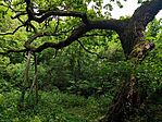 IMG_20260610_114707