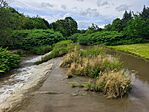 IMG_20260611_162429