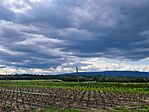 IMG_20260611_165645