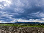 IMG_20260611_165717