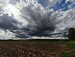 IMG_20260611_165722