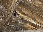 IMG_20260619_215200