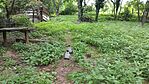 20260530_184445