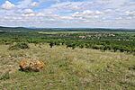 Panoráma 