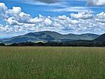Panoráma