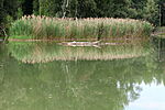 Szigetköz-7