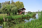 Szigetköz-13