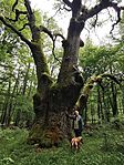 IMG_20260611_102452