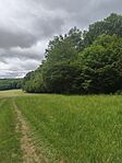 IMG_20260611_101241