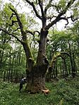 IMG_20260611_102503