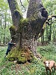 IMG_20260611_102516