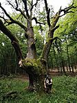 IMG_20260611_102721