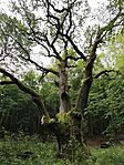 IMG_20260611_102741